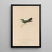 Histoire naturelle des oiseaux-mouches Pl32 - René Primevère Lesson — framed artwork on a wall