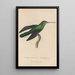 Histoire naturelle des oiseaux-mouches Pl34 - René Primevère Lesson — framed artwork on a wall