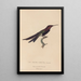 Histoire naturelle des oiseaux-mouches Pl39 - René Primevère Lesson — framed artwork on a wall