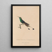 Histoire naturelle des oiseaux-mouches Pl40 - René Primevère Lesson — framed artwork on a wall