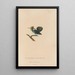 Histoire naturelle des oiseaux-mouches Pl42 - René Primevère Lesson — framed artwork on a wall