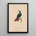 Histoire naturelle des oiseaux-mouches Pl44 - René Primevère Lesson — framed artwork on a wall