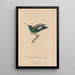 Histoire naturelle des oiseaux-mouches Pl50 - René Primevère Lesson — framed artwork on a wall