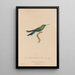 Histoire naturelle des oiseaux-mouches Pl51 - René Primevère Lesson — framed artwork on a wall