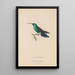 Histoire naturelle des oiseaux-mouches Pl52 - René Primevère Lesson — framed artwork on a wall