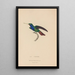 Histoire naturelle des oiseaux-mouches Pl56 - René Primevère Lesson — framed artwork on a wall