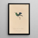 Natural History of Hummingbirds Pl66 - René Primevère Lesson — framed artwork on a wall