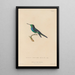 Histoire naturelle des oiseaux-mouches Pl69 - René Primevère Lesson — framed artwork on a wall