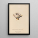 Histoire naturelle des oiseaux-mouches Pl84 - René Primevère Lesson — framed artwork on a wall