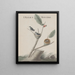 Natural History of Saint-Domingue Pl001 - René de Rabi — framed artwork on a wall
