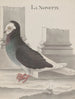Histoire naturelle de Saint-Domingue Pl005 - René de Rabi — artwork view