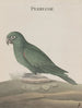 Natural History of Saint-Domingue Pl007 - René de Rabi — artwork view