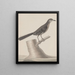 Histoire naturelle de Saint-Domingue Pl009 - René de Rabi — framed artwork on a wall