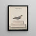 Natural History of Saint-Domingue Pl010 - René de Rabi — framed artwork on a wall