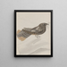 Histoire naturelle de Saint-Domingue Pl014 - René de Rabi — framed artwork on a wall