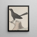 Natural History of Saint-Domingue Pl016 - René de Rabi — framed artwork on a wall
