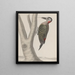Natural History of Saint-Domingue Pl019 - René de Rabi — framed artwork on a wall