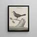 Natural History of Saint-Domingue Pl021 - René de Rabi — framed artwork on a wall