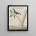 Natural History of Saint-Domingue Pl027 - René de Rabi — framed artwork on a wall