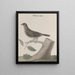 Natural History of Saint-Domingue Pl030 - René de Rabi — framed artwork on a wall