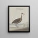 Natural History of Saint-Domingue Pl032 - René de Rabi — framed artwork on a wall
