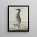 Natural History of Saint-Domingue Pl035 - René de Rabi — framed artwork on a wall