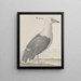Natural History of Saint-Domingue Pl037 - René de Rabi — framed artwork on a wall