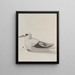 Natural History of Saint-Domingue Pl039 - René de Rabi — framed artwork on a wall