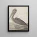 Natural History of Saint-Domingue Pl040 - René de Rabi — framed artwork on a wall