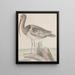 Natural History of Saint-Domingue Pl047 - René de Rabi — framed artwork on a wall