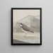 Natural History of Saint-Domingue Pl050 - René de Rabi — framed artwork on a wall
