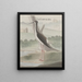 Natural History of Saint-Domingue Pl052 - René de Rabi — framed artwork on a wall