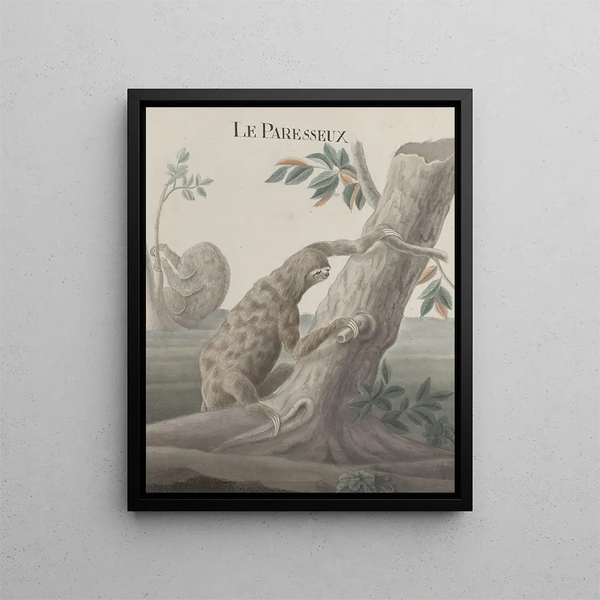 Histoire naturelle de Saint-Domingue Pl059 - René de Rabi — framed artwork on a wall