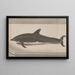 Natural History of Saint-Domingue Pl061 - René de Rabi — framed artwork on a wall