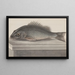 Natural History of Saint-Domingue Pl067 - René de Rabi — framed artwork on a wall