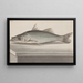 Natural History of Saint-Domingue Pl. 070 - René de Rabi — framed artwork on a wall