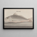 Natural History of Saint-Domingue Pl082 - René de Rabi — framed artwork on a wall