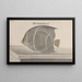 Natural History of Saint-Domingue Pl087 - René de Rabi — framed artwork on a wall