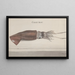 Natural History of Saint-Domingue Pl099 - René de Rabi — framed artwork on a wall