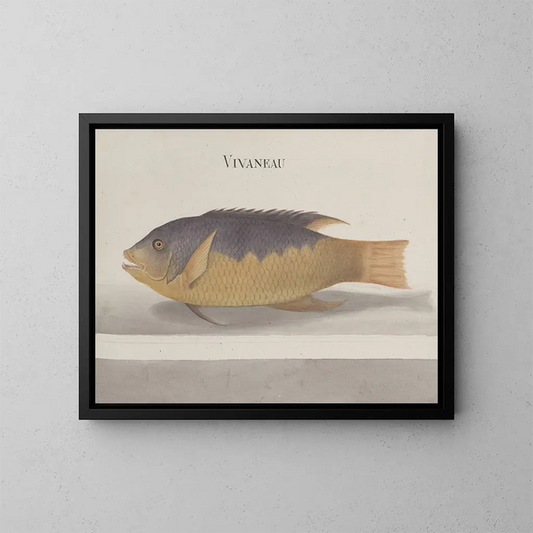 Histoire naturelle de Saint-Domingue Pl. 106 - René de Rabi — framed artwork on a wall