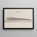 Histoire Naturelle de Saint-Domingue Pl. 111 - René de Rabi — framed artwork on a wall