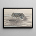 Natural History of Saint-Domingue, Pl. 120 - René de Rabi — framed artwork on a wall