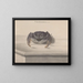 Natural History of Saint-Domingue - René de Rabi — framed artwork on a wall