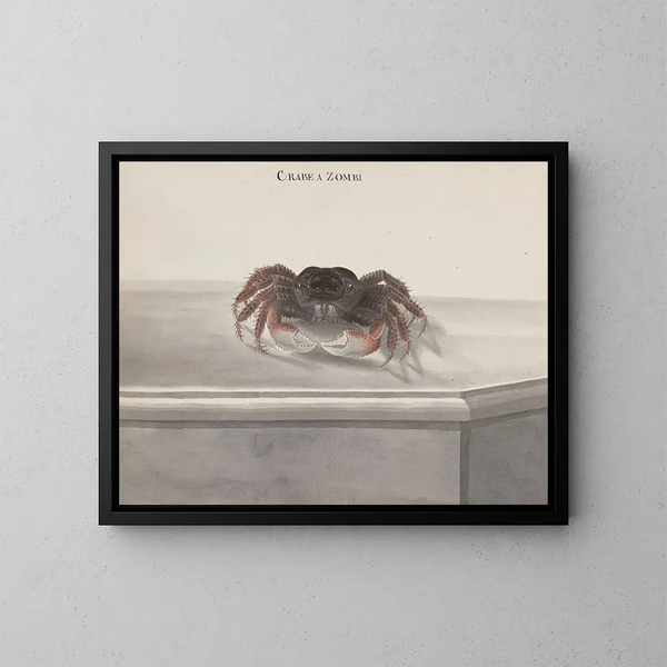 Histoire naturelle de Saint-Domingue Pl130 - René de Rabi — framed artwork on a wall