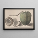 Natural History of Saint-Domingue Pl157 - René de Rabi — framed artwork on a wall