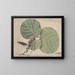 Natural History of Saint-Domingue Pl166 - René de Rabi — framed artwork on a wall