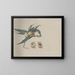 Natural History of Saint-Domingue Pl167 - René de Rabi — framed artwork on a wall