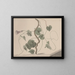 Histoire naturelle de Saint-Domingue Pl168 - René de Rabi — framed artwork on a wall