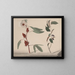 Natural History of Saint-Domingue Pl170 - René de Rabi — framed artwork on a wall
