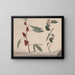 Natural History of Saint-Domingue Pl171 - René de Rabi — framed artwork on a wall